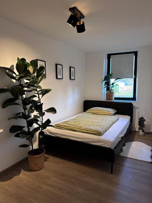 Urban Apartments Weimarer Land Buttelstedt Dış mekan fotoğraf